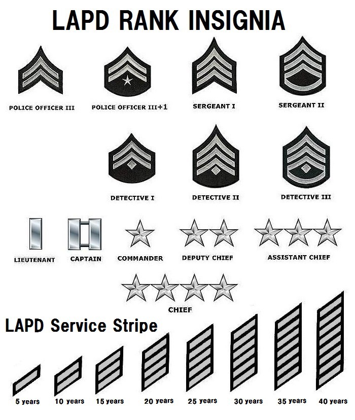 Rank Structure LAPD Online (2022)