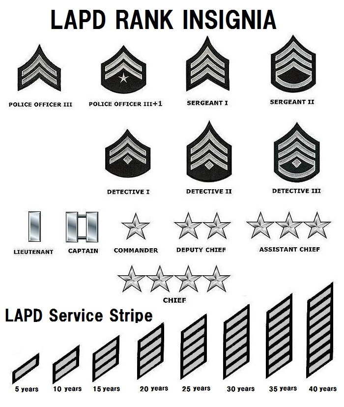 Comprehensive List Of Police Ranks And Symbols