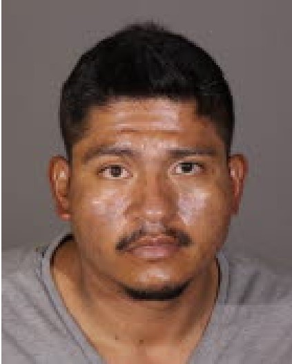Sexual Assault Suspect Arrested: Detectives Seeking for Additional ...
