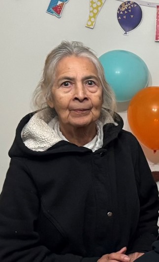 Silver Alert Issued for a Missing 78-Year-Old Woman NR26024ne - LAPD Online
